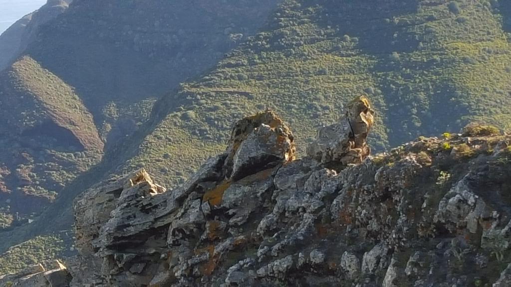 Appartamento Altamira Bajamar  Esterno foto